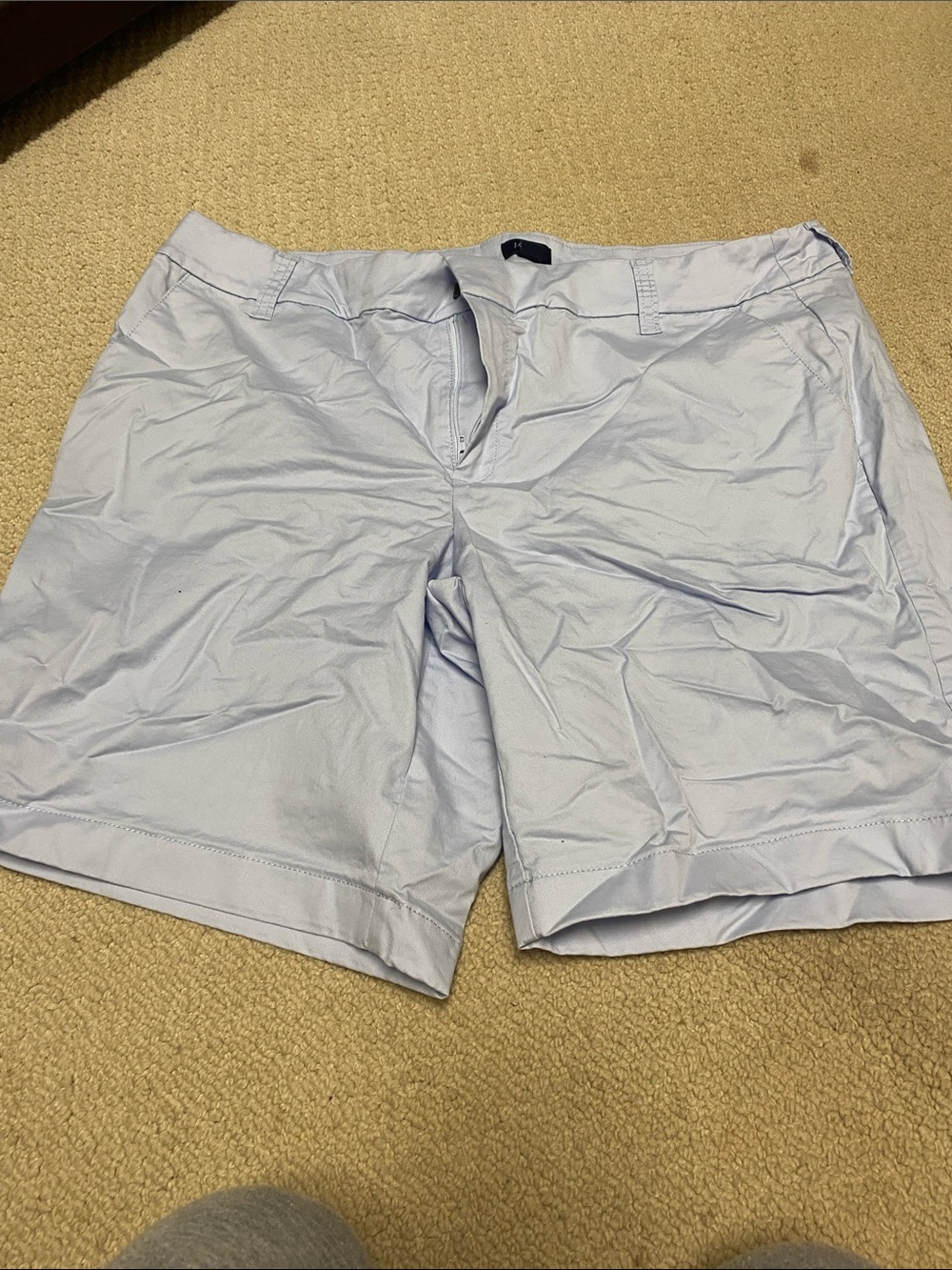J. Crew Light Blue Women’s Flat-Front Shorts